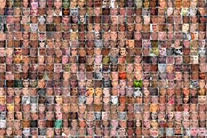 Faces über Faces und Daten über Daten, die von Facebook nie gelöscht werden. 