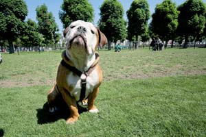Artikelbild