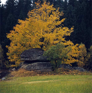 Ein häufiges Phänomen in Bayern und Österreich sind seltsam figurierte Felsen. Ein häufiges Phänomen in Bayern und Österreich sind seltsam figurierte Felsen.