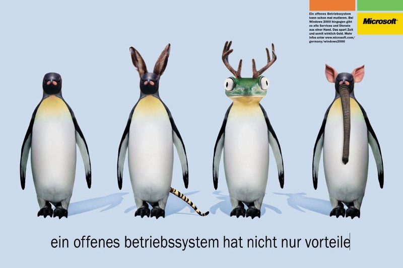 Die offene Feinschaft gegenüber Open Source (wie hier in einer Werbung aus dem Jahr 2000) ist bei Microsoft längst dem Pragmatismus gewichen.