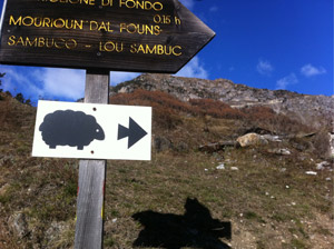 Hier entlamm gehts zu Fidler! Damit die Wuscheltiere von Sambuco wissen, wo man auf sie wartet, sind die Wanderwege hier präzise beschildert
Osteria della PaceMenü mit sechs Gängen (Dolce oder Käse hätts auch noch gegeben), Wein, Wasser, Kaffe, Übernachtung: 86 Euro Hier entlamm gehts zu Fidler! Damit die Wuscheltiere von Sambuco wissen, wo man auf sie wartet, sind die Wanderwege hier präzise beschildert
Osteria della PaceMenü mit sechs Gängen (Dolce oder Käse hätts auch noch gegeben), Wein, Wasser, Kaffe, Übernachtung: 86 Euro