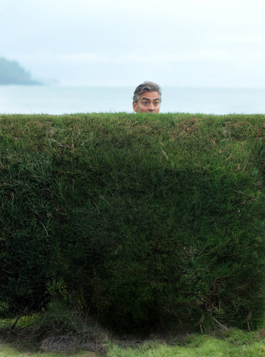 Über die Hecke lugen: George Clooney als gehörnter Ehemann in "The Descendants". 