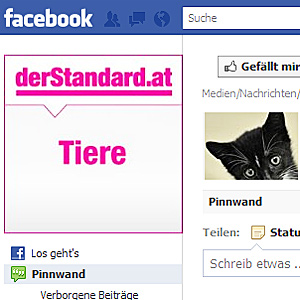 derStandard.at/Tiere auf Facebook