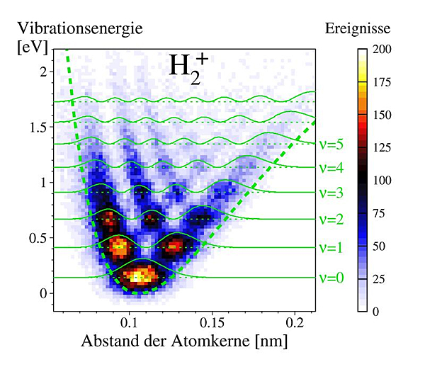 Bevorzugte Aufenthaltsorte von Protonen im einfach ionisierten 
Wasserstoffmolekül (gelb markiert die höchste Wahrscheinlichkeit). Die 
Messpunkte liegen genau in den Bergen der theoretisch berechneten 
Wellenfunktion (grün). Je höher die Energie der Anregungszustände ist, 
desto mehr bevorzugte Orte gibt es. Genau dazwischen sind die Protonen 
allerdings nie anzutreffen.