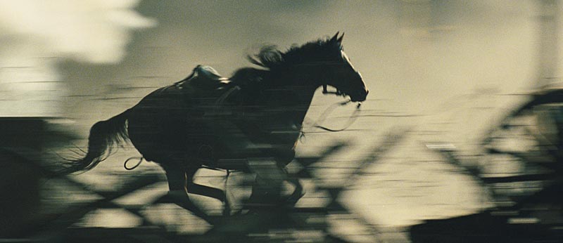 Geschundene Kreatur zwischen den wüsten Weltkriegs-Fronten an der Somme: Steven Spielbergs "War Horse" Joey.