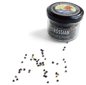 Petrossian Fleur de Caviar, 30 g / € 50 bei Petrossian Caviar, 18 Bd de Latour-Maubourg, 75007 Paris oder online (zuzüglich € 39 Versand) bei www.petrossian.fr Petrossian Fleur de Caviar, 30 g / € 50 bei Petrossian Caviar, 18 Bd de Latour-Maubourg, 75007 Paris oder online (zuzüglich € 39 Versand) bei www.petrossian.fr