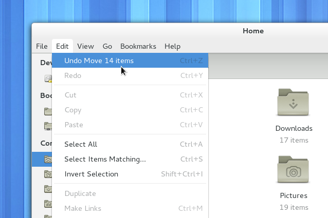Der File Manager Nautilus hat endlich eine Undo-Funktion spendiert bekommen.