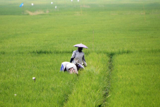 Indien ist zwar ein Schwellenland, gehört aber immer noch zu den ärmsten Ländern der Welt.