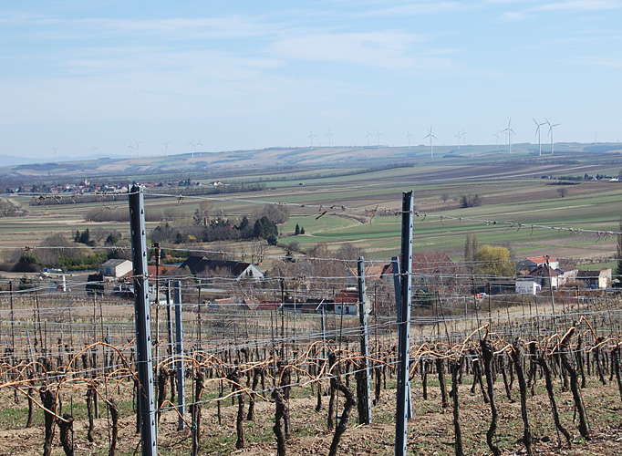 Idyllische Weinberge im nördlichen Weinviertel.