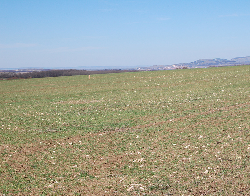 Auf diesem Feld mit Blick Richtung Tschechien hätte der erste 60 Meter hohe Bohrturm errichtet werden sollen.