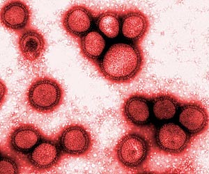 Mutationen der Viren erschweren den Grippeschutz. Mutationen der Viren erschweren den Grippeschutz.