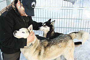 Danny und Daisy (im Hintergrund) begrüßen Geschäftsführer Daniel Pühringer. Danny und Daisy (im Hintergrund) begrüßen Geschäftsführer Daniel Pühringer.