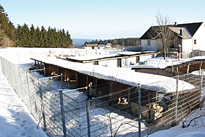 Mountain Wolf in Aigen im Mühlkreis ist die größte Schlittenhundefarm Europas. Mountain Wolf in Aigen im Mühlkreis ist die größte Schlittenhundefarm Europas.