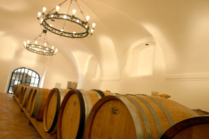 Festgeschrieben wurden weiters Vinifikationsverfahren (Stahltank, Holzfässer aller Größen), die (wie die Alkoholwerte) dort ohnehin seit Jahren üblich sind.