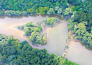 Die Donauauen, in den 1980ern noch verödet, verwandeln sich durch
Renaturisierung wieder in Naturparadiese. Die Donauauen, in den 1980ern noch verödet, verwandeln sich durch
Renaturisierung wieder in Naturparadiese.