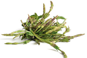 Wilde Hopfensprossen, € 3,50 / Portion, derzeit bei Henzls Ernte,
Kettenbrückeng. 3/2, 1050 Wien, Di-Fr 13-18, Sa 9-17 Uhr, Tel.: 0676/755
25 26 Wilde Hopfensprossen, € 3,50 / Portion, derzeit bei Henzls Ernte,
Kettenbrückeng. 3/2, 1050 Wien, Di-Fr 13-18, Sa 9-17 Uhr, Tel.: 0676/755
25 26