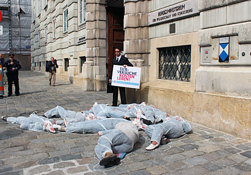 Anlässlich des Aktionstags gegen Tierversuche versammelten sich AktivistInnen der Tierschutzorganisation Vier Pfoten vor dem Ministerium für Wissenschaft.