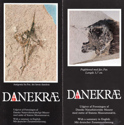 Dieses Faltblatt erläutert den Umgang mit Fossilfunden in Dänemark Dieses Faltblatt erläutert den Umgang mit Fossilfunden in Dänemark