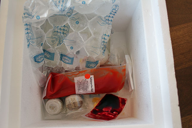 In der Thermobox werden die Produkte in Eis gepackt.