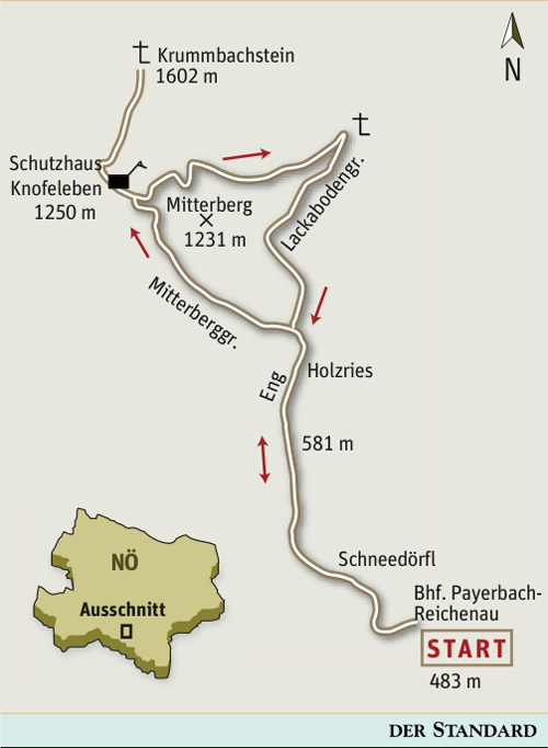 Artikelbild
