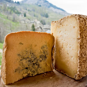 ...oder auch nicht. In beiden Varianten gilt er als "König der Käse", der einst die Tafeln der europäischen Höfe schmückte. ...oder auch nicht. In beiden Varianten gilt er als "König der Käse", der einst die Tafeln der europäischen Höfe schmückte.