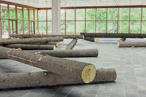 Horizontal: Hans Schabus' "Vertikale Anstrengung". Horizontal: Hans Schabus' "Vertikale Anstrengung".