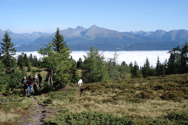 Gesamtgehzeit ca. 4½ Stunden, Höhendifferenz 600 m, kein Stützpunkt an 
der Strecke. ÖK25V-Blatt 3230-Ost (Stadl an der Mur), Maßstab 1:25.000; 
Freytag &amp; Berndt Wanderatlas Salzburger Bergwelt,  Maßstab 1:50.000.