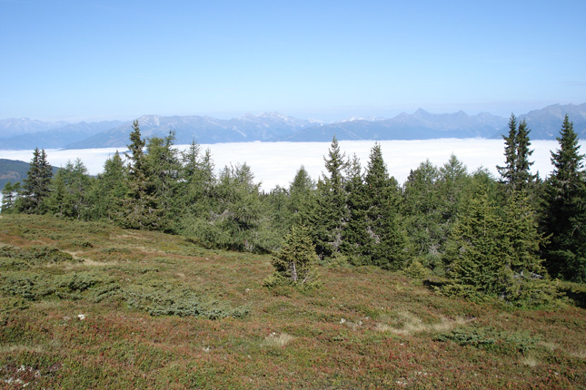 Der Lasaberg im Salzburger Lungau.