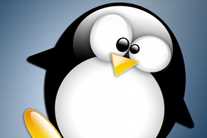 Das Linux-Maskottchen Tux. Das Linux-Maskottchen Tux.