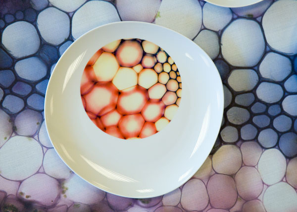 Keramik-Designer Rob Kesseler (im Bild sein Werk "Jardim Porcelanico") wird Melina Schuh begleiten, die in Cambridge an Mitose forscht.