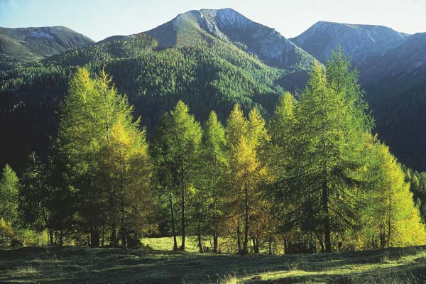 Die Nockberge.