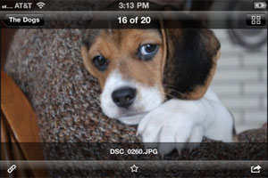 Dropbox-User können nun auch unter iOS ihre Fotos und Videos automatisch hochladen lassen. Dropbox-User können nun auch unter iOS ihre Fotos und Videos automatisch hochladen lassen.