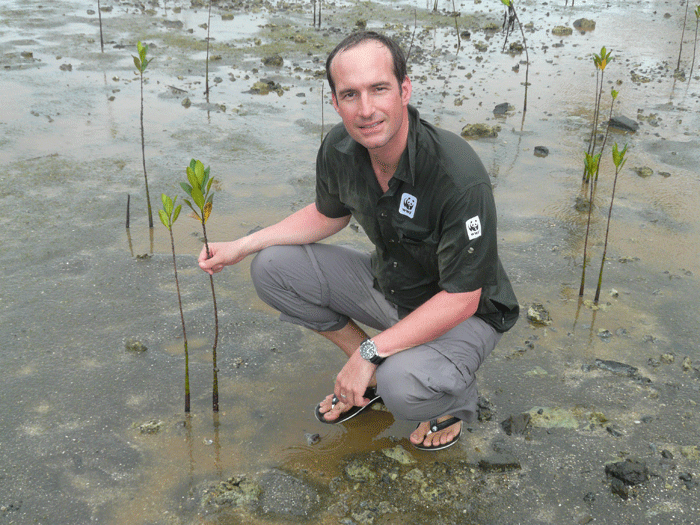 Das Projekt zum Wiederaufforsten von Mangroven an der Küste von Gau im Fidschi-Archipel zeitigt erste Erfolge.