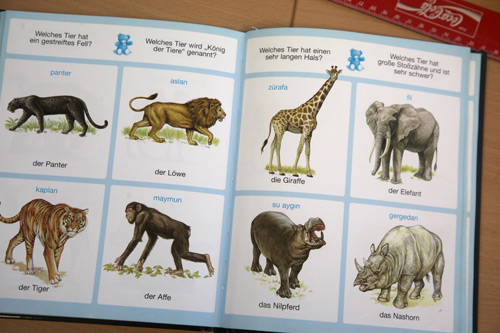 Kinderwörterbuch Deutsch-Türkisch