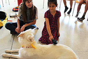 Mannsberger ist es wichtig, den Kindern zu vermitteln, dass ein Hund kein Spielzeug ist, sondern auch Arbeit macht und Geld kostet. Mannsberger ist es wichtig, den Kindern zu vermitteln, dass ein Hund kein Spielzeug ist, sondern auch Arbeit macht und Geld kostet.