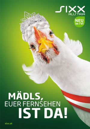 Das werbende Huhn von Sixx Austria. Das werbende Huhn von Sixx Austria.