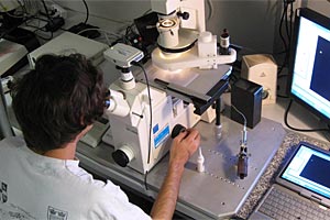 Nathaniel Edelman untersucht am Magnetoskop, einem von zwei existierenden Geräten dieser Art weltweit, ob sich Zellen bei einem rotierendem Magnetfeld mitbewegen. Nathaniel Edelman untersucht am Magnetoskop, einem von zwei existierenden Geräten dieser Art weltweit, ob sich Zellen bei einem rotierendem Magnetfeld mitbewegen.