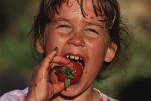 Was für Kinder als ewig schöner Sommer gilt, entpuppt sich für Eltern mitunter als Albtraum. Was für Kinder als ewig schöner Sommer gilt, entpuppt sich für Eltern mitunter als Albtraum.