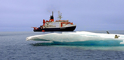 Wissenschafter des Forschungsschiffs Polarstern erzeugten im 
Südpolarmeer eine künstliche Algenblüte. Sie konnten erstmals 
beobachten, wie die verschiedenen Algenarten (unten) Kohlenstoff in den 
Tiefen des Meeres deponierten.