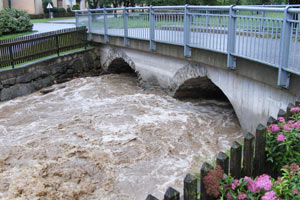 Die Pegel mehrerer Flüsse stiegen in der Nacht auf Freitag in Niederösterreich bedrohlich an.