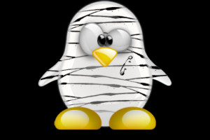Artikelbild