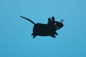 GNOME muss seinen Platz für Xfce räumen. GNOME muss seinen Platz für Xfce räumen.