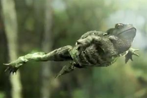 Fliegendes Amphibium als spektakulärer Abschluss des Trailers. Fliegendes Amphibium als spektakulärer Abschluss des Trailers.