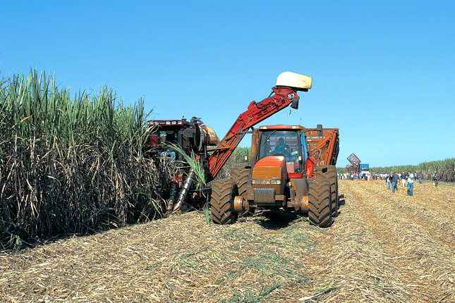 Pflanzliche Treibstoffe können einen riesigen und stabilen Absatzmarkt für die Landwirtschaft bilden. Aus ethischer Sicht ist das eine schwierige Diskussion.