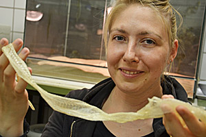 Die Kieler Forscherin Marie-Christin Klein untersucht Schlangenhaut: Zwei bis drei Monate muss die Haut halten, bis sie durch eine neue Schicht ersetzt wird. Die Kieler Forscherin Marie-Christin Klein untersucht Schlangenhaut: Zwei bis drei Monate muss die Haut halten, bis sie durch eine neue Schicht ersetzt wird.
