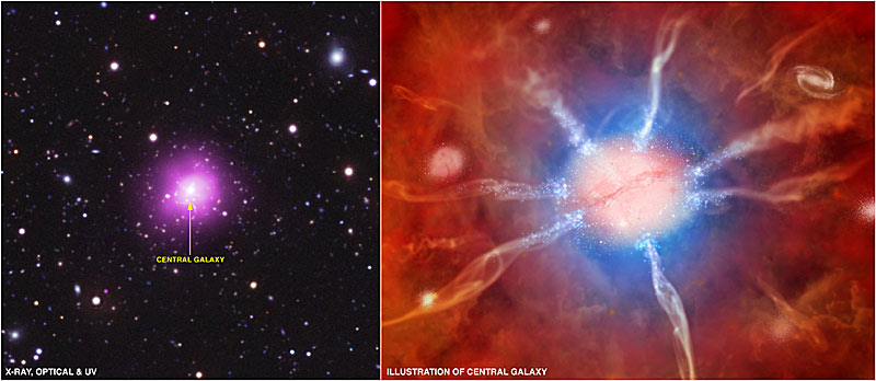 Links ein Bild des Phoenix-Clusters, zusammengestellt aus Aufnahmen im Röntgenbereich und im sichtbaren Teil des Spektrums. Rechts eine künstlerische Darstellung der Zentralgalaxie des Clusters: Heißes Gas ist rot dargestellt, kühleres in blau. Die Gasströme erscheinen als bandförmige Strukturen.