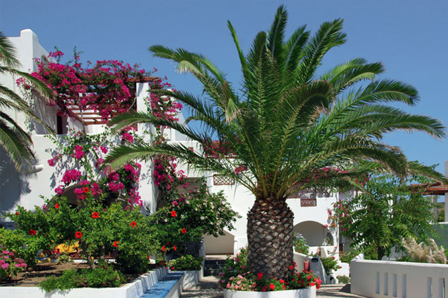 Beispiele: Amopí Bay, Tel.: 0030/22450 81184