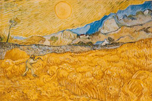 Artikelbild