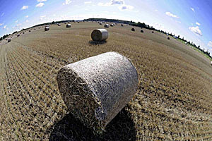 Biosprit soll künftig aus landwirtschaftlichen Abfällen, beispielsweise Holzschnitzeln, hergestellt werden. Biosprit soll künftig aus landwirtschaftlichen Abfällen, beispielsweise Holzschnitzeln, hergestellt werden.