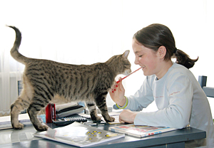 Mit dem Kauf der "Pet Ribbon"-Anstecker um einen Euro werden tiergestütze Therapien unterstützt werden. Mit dem Kauf der "Pet Ribbon"-Anstecker um einen Euro werden tiergestütze Therapien unterstützt werden.